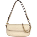 Louis Vuitton Wallet on Chain Ivy Shoulder Bag Clutch Monogram