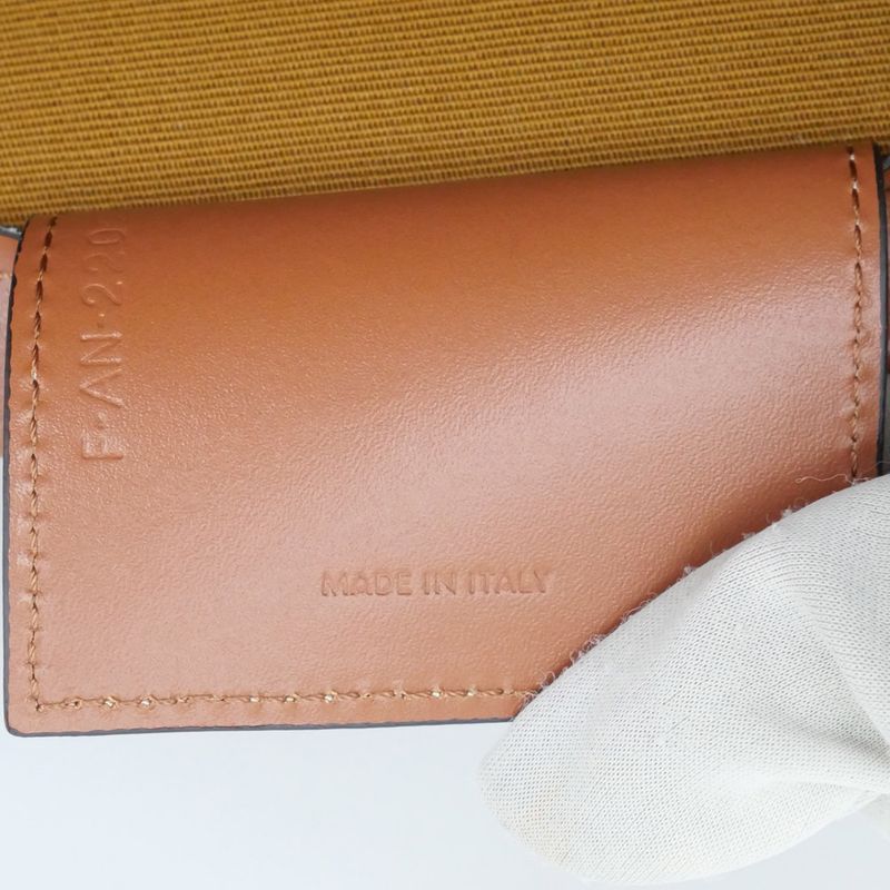Celine Coufan Brown Triomphe Canvas Tote Bag Multicolor Logo — view 8