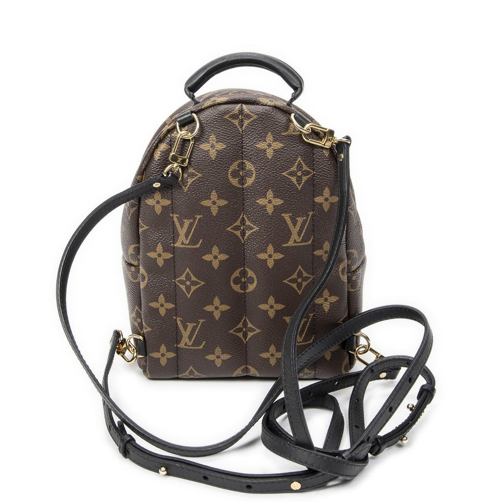 Louis Vuitton Palm Springs Brown Monogram Canvas — view 5