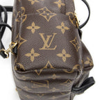 Louis Vuitton Palm Springs Brown Monogram Canvas — view 7