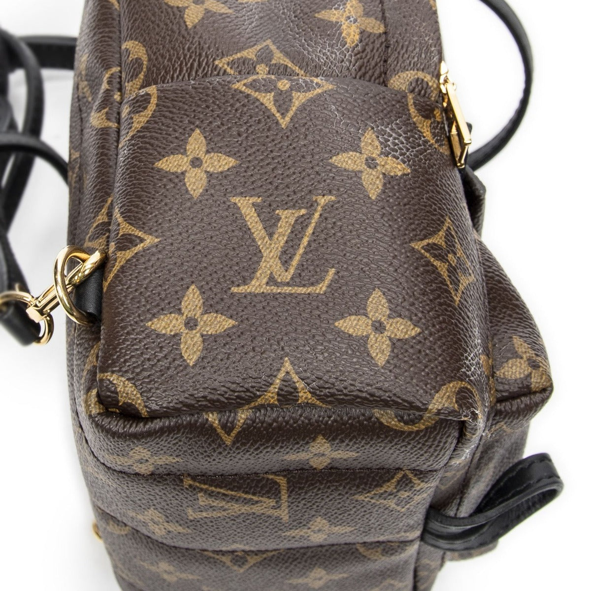 Louis Vuitton Palm Springs Brown Monogram Canvas — view 7