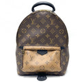 Louis Vuitton Backpack Monogram Palm Springs PM Brown