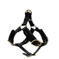 Gucci Pet Harness Black Interlocking Pet Accessory