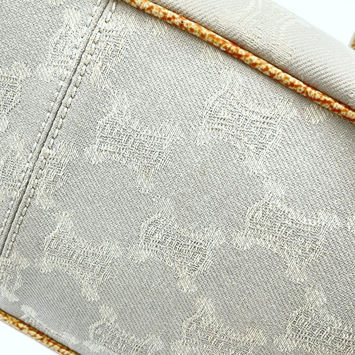 Celine Boogie Bag Canvas Silver — view 5