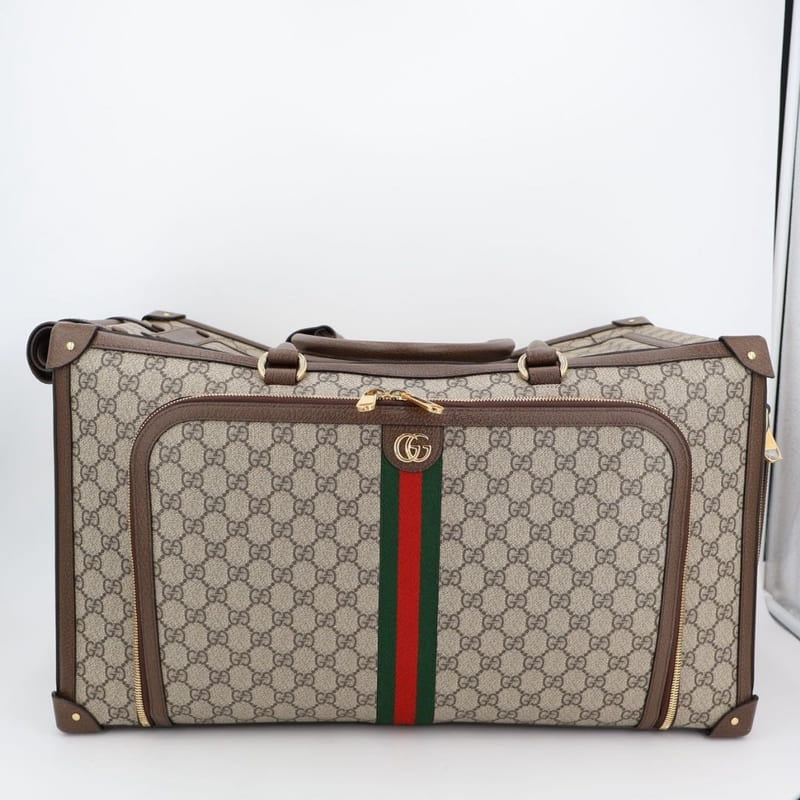 Gucci GG Small Pet Carry with Web Stripe