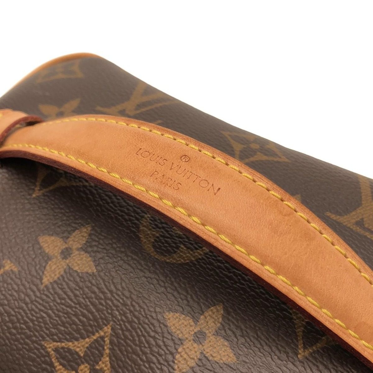 Louis Vuitton Monogram Nice Mini Bag — view 6