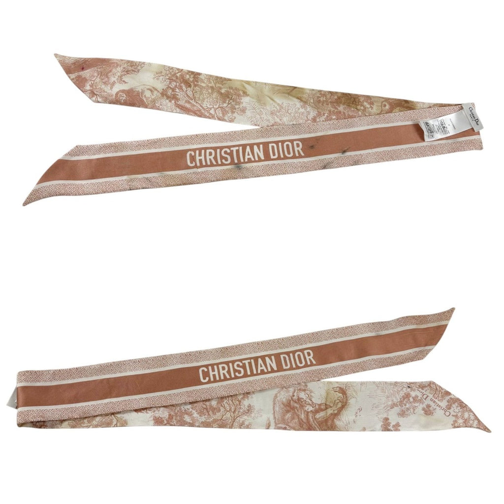 Dior Mizza Toile de Jouy Sauvage Scarf — view 3