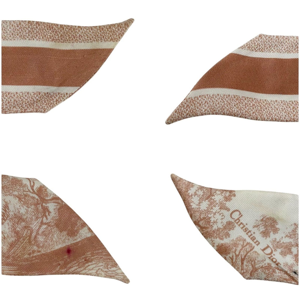 Dior Mizza Toile de Jouy Sauvage Scarf — view 6