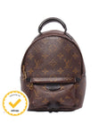 Louis Vuitton Palm Springs Backpack Mini Monogram