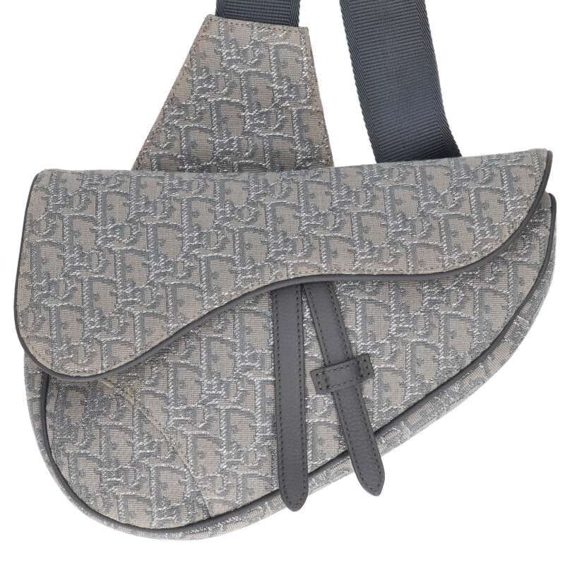 Dior Saddle Oblique Jaguar Lame Stitch Shoulder Bag