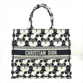 Dior Book Tote Star
