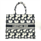 Dior Book Tote Star