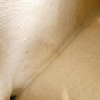 Gucci Horsebit Bag Leather Canvas — view 9