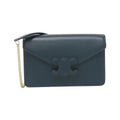 Celine Chain Wallet Amazone