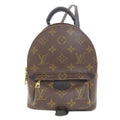 Louis Vuitton Palm Springs Mini Backpack