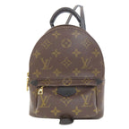 Louis Vuitton Palm Springs Mini Backpack