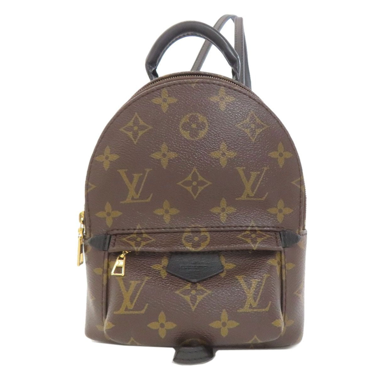 Louis Vuitton Palm Springs Mini Backpack