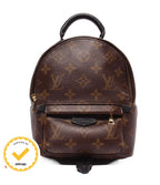 Louis Vuitton Backpack Palm Springs Mini Monogram