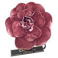 Chanel Camellia Corsage Pink Velour