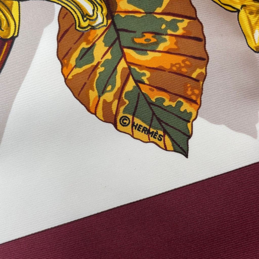 Hermes Scarf 100% Silk Carre 90 AU Plus Dru Powerful Brown — view 9