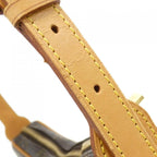 Louis Vuitton Monogram Pochette Croissant Shoulder Bag — view 4
