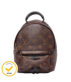 Louis Vuitton Backpack Palm Springs Mini Monogram