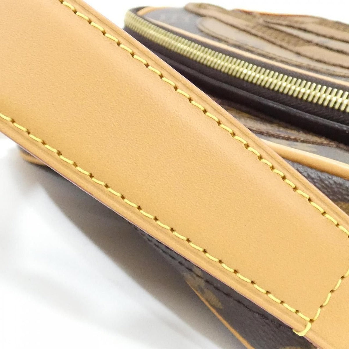 Louis Vuitton Monogram Landscape Nile Shoulder Bag — view 6