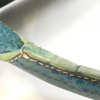 Loewe Senda Bag Leather Green — view 7