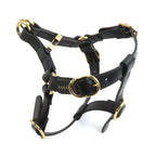 Gucci Dog Harness — view 3