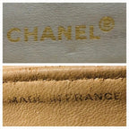Chanel Diana Quilted Lambskin CC Logo Shoulder Bag Beige — view 9