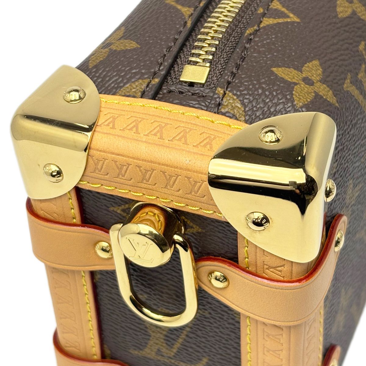 Louis Vuitton Monogram Shoulder Side Trunk PM — view 9