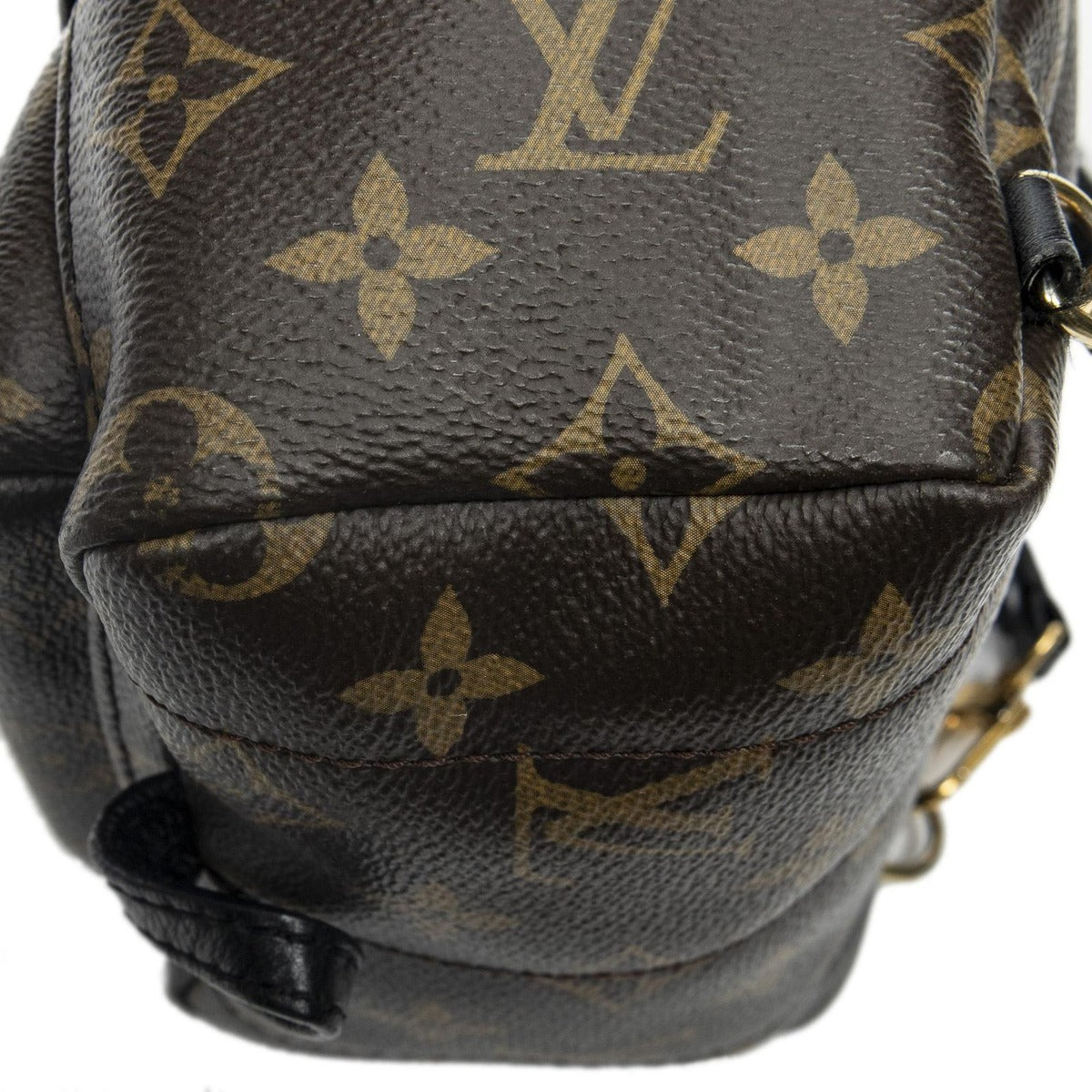 Louis Vuitton Palm Springs Brown Monogram Canvas Handbag — view 8