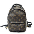 Louis Vuitton Palm Springs Brown Monogram Canvas Handbag