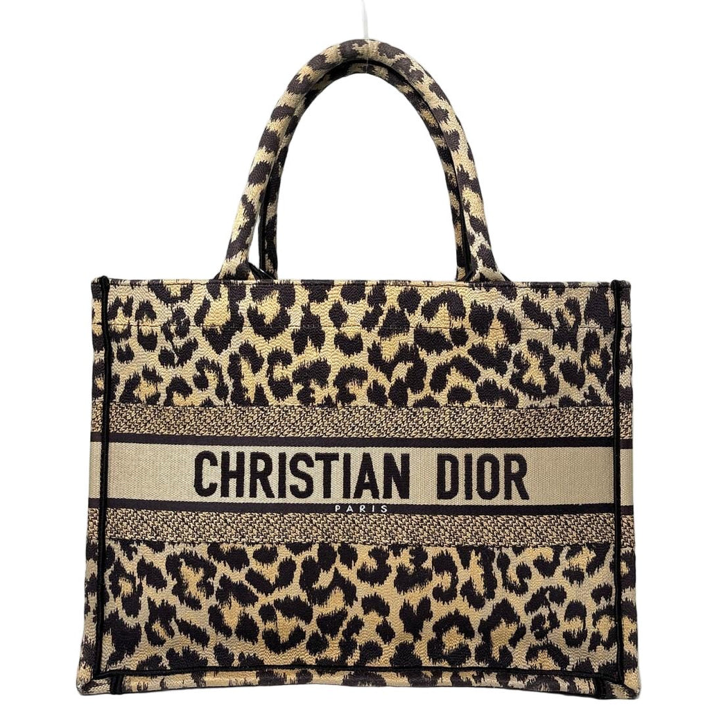 Dior Book Tote Bag