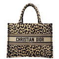 Dior Book Tote Bag