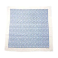 Dior Shawl Logo Light Blue Ivory Wool Cashmere Silk Large Fringe