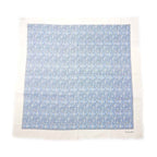 Dior Shawl Logo Light Blue Ivory Wool Cashmere Silk Large Fringe