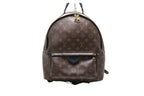 Louis Vuitton Monogram Palm Springs Leather Backpack
