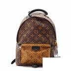 Louis Vuitton Palm Springs Backpack Diaper Bag Brown Beige — view 3