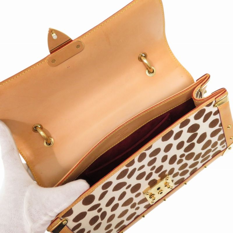 Louis Vuitton Monogram Multicolor Sac Dalmatian Chien Halaco — view 5
