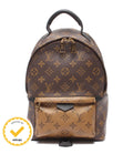 Louis Vuitton Backpack Palm Springs PM Monogram Reverse