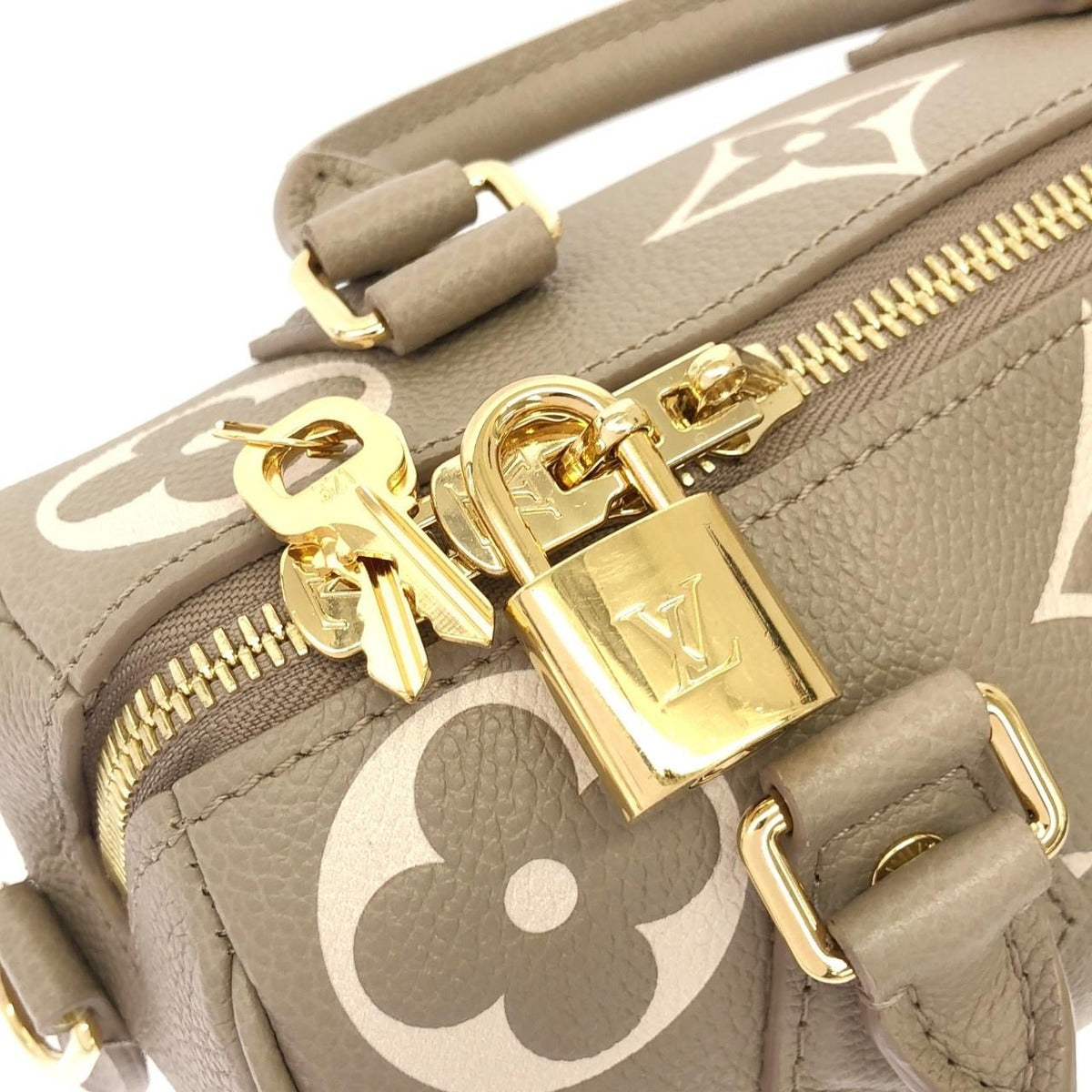 Louis Vuitton Bicolor Monogram Empreinte Speedy Handbag — view 5
