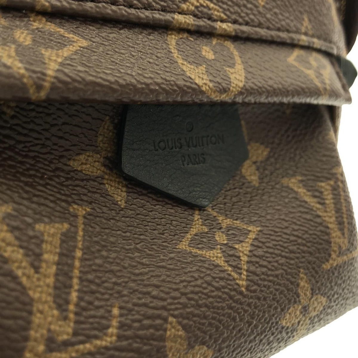 Louis Vuitton Monogram Palm Springs Backpack Mini Sac Brown Marron — view 4
