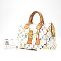 Louis Vuitton Handbag Canvas