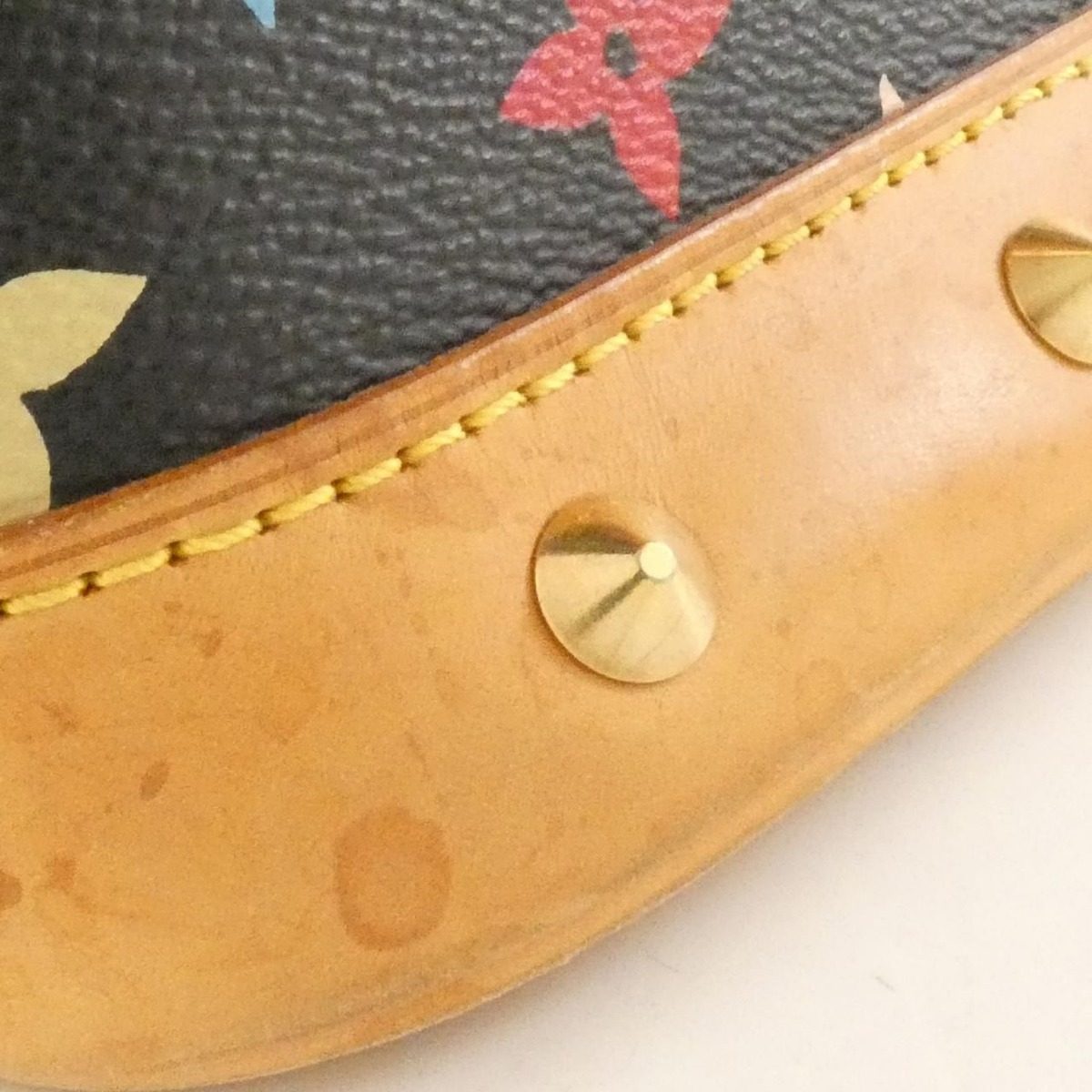 Louis Vuitton Multicolor Alma PM Bag — view 5
