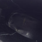 Saint Laurent Boots Black 39 — view 6