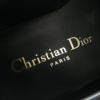 Dior D-academy Loafers Gold Tone Metal Tassel Shoes — view 6