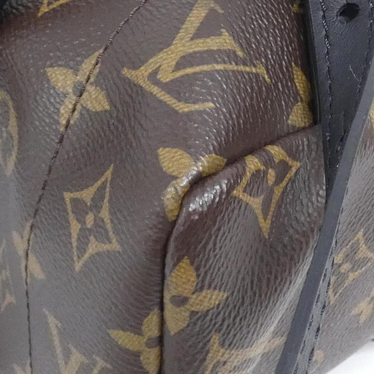 Louis Vuitton Monogram Palm Springs Backpack MM Sac — view 3