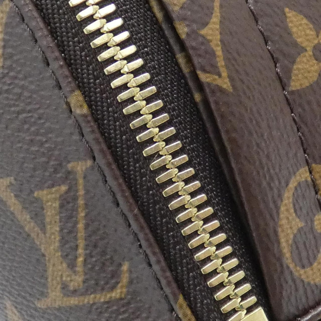 Louis Vuitton Monogram Palm Springs Backpack MM Sac — view 4