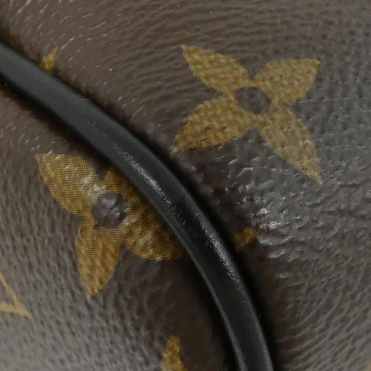 Louis Vuitton Monogram Macassar Josh Backpack — view 3